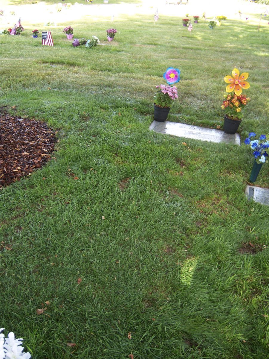 Main image 4