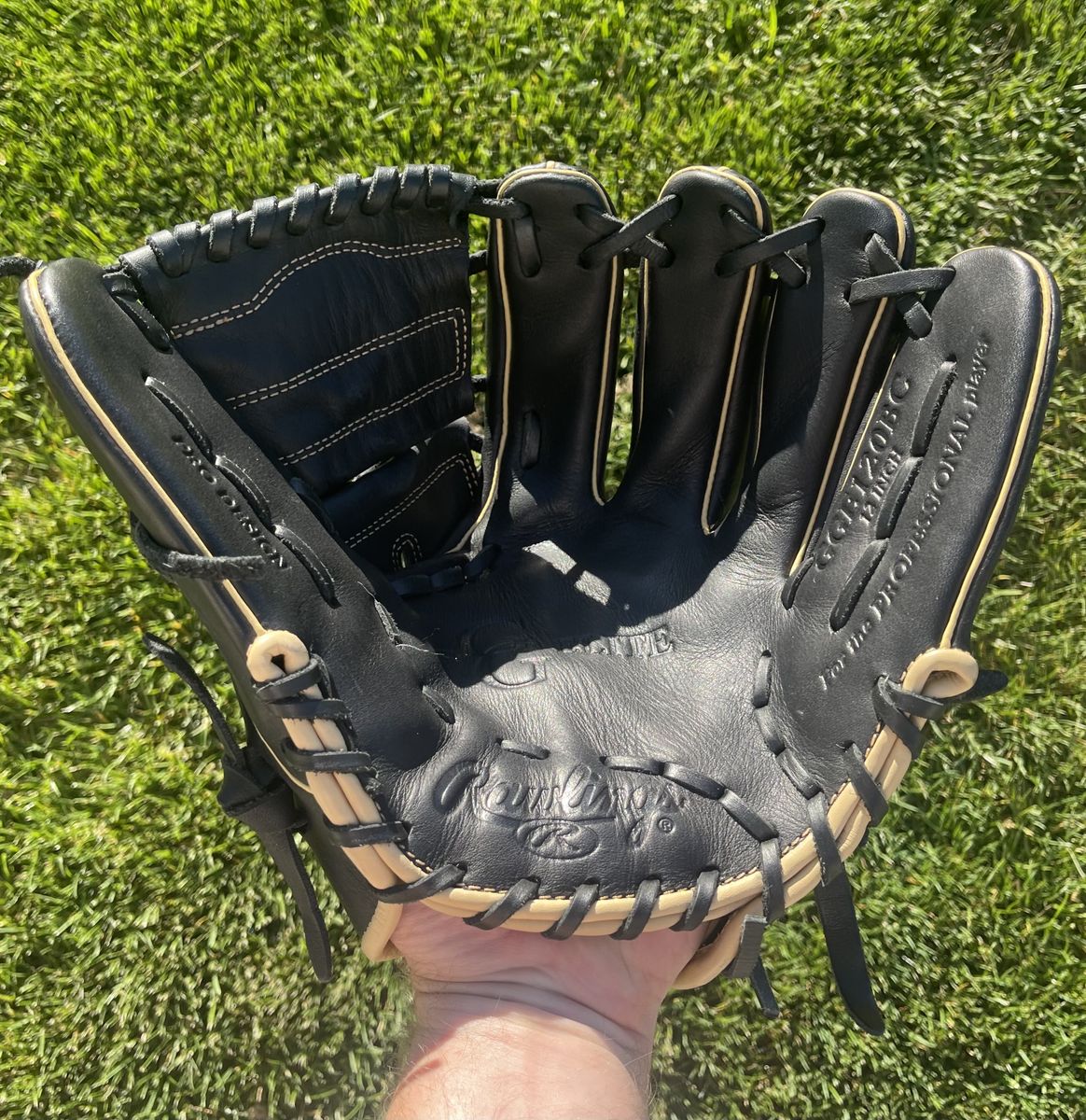 Rawlings Gold Glove Elite 12 in. Baseball Glove