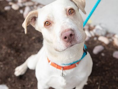 Hello my name is Daryl