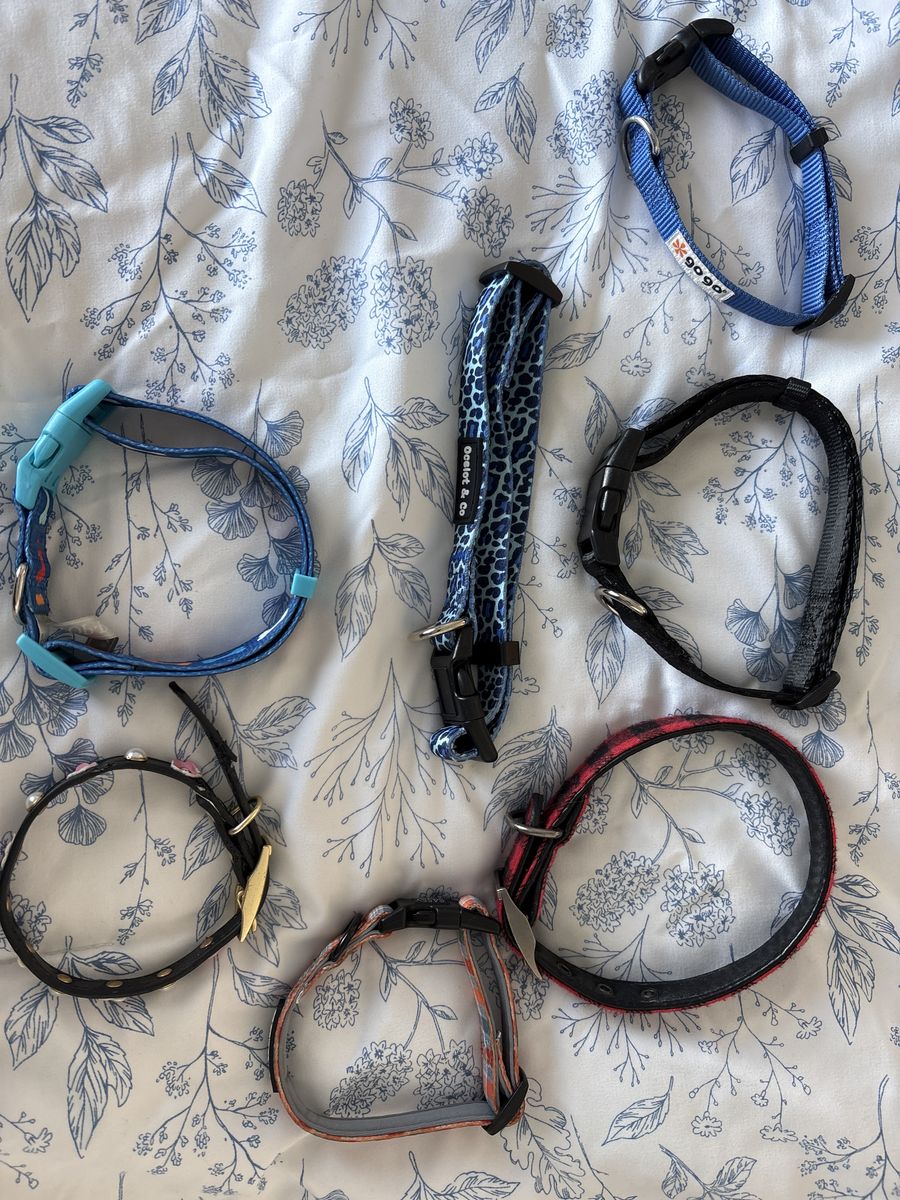 Dog Collars Medium Small