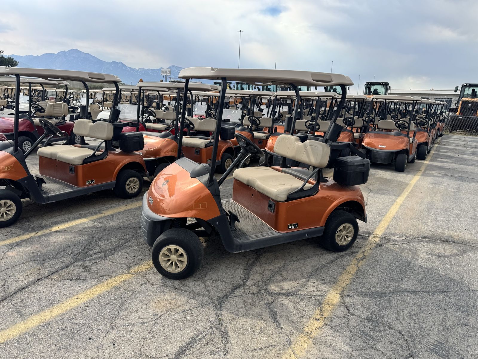 2019-2021 RXV lithium battery golf carts