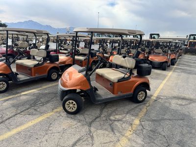 2019-2021 RXV lithium battery golf carts