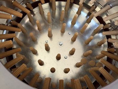 Automatic Chicken Plucker