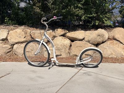 Schwinn Adult Kick Scooter