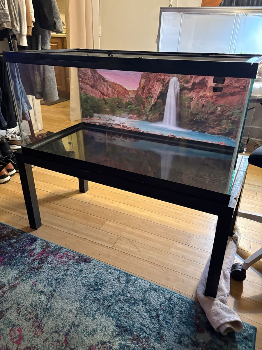 40 gallon Reptile Tank with Screen Top and Stand
