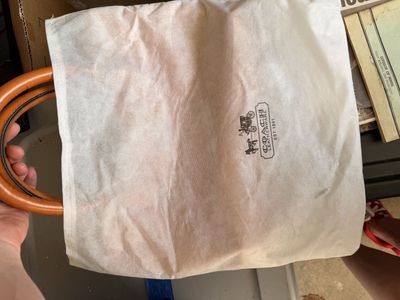 Coach handbag