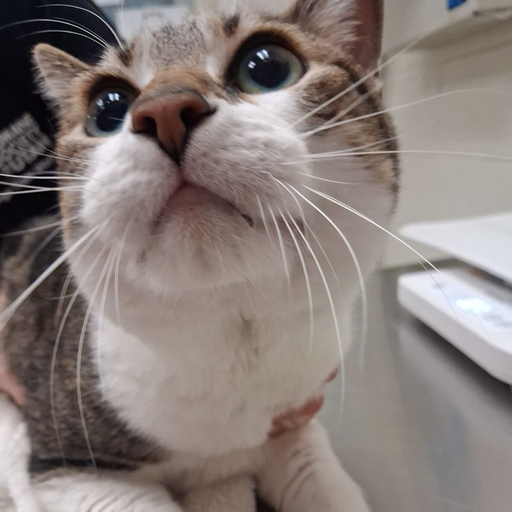 Hello my name is Churi