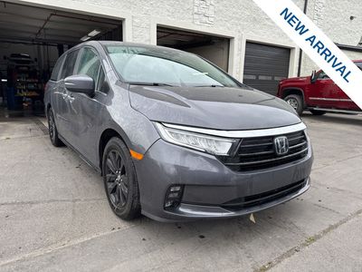 2024 Honda Odyssey EX-L