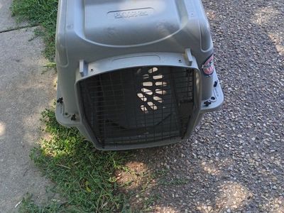 Pet Carrier - Travel Kennel (Used)
