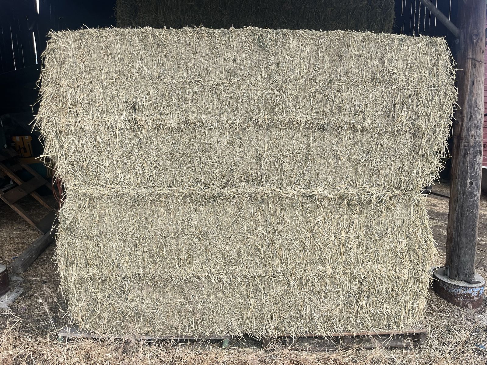 Main image 4