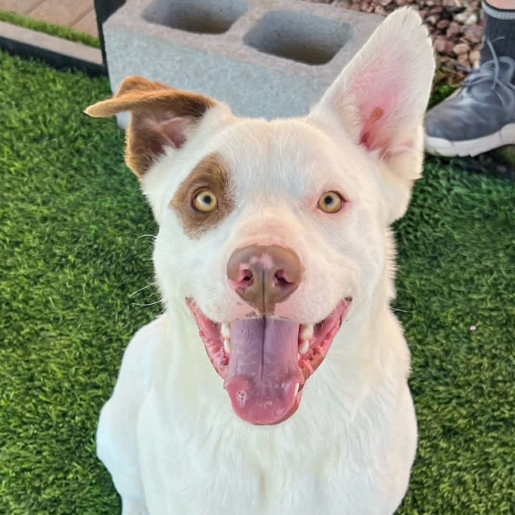 Hello my name is Pete