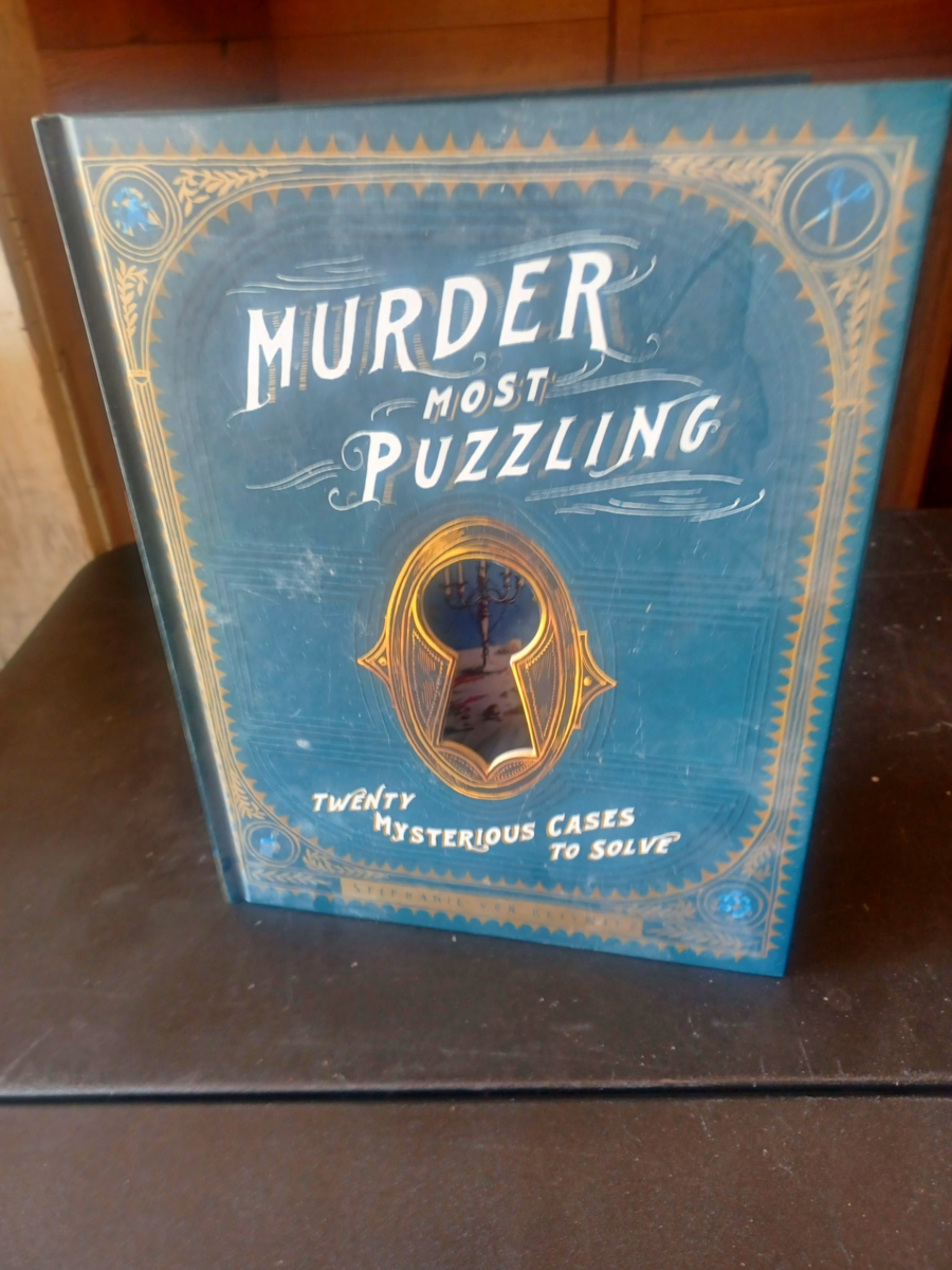 Murder Most Puzzling – Solve 20 Whodunits!