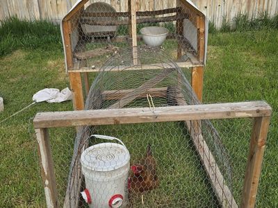 chicken coop tractor
