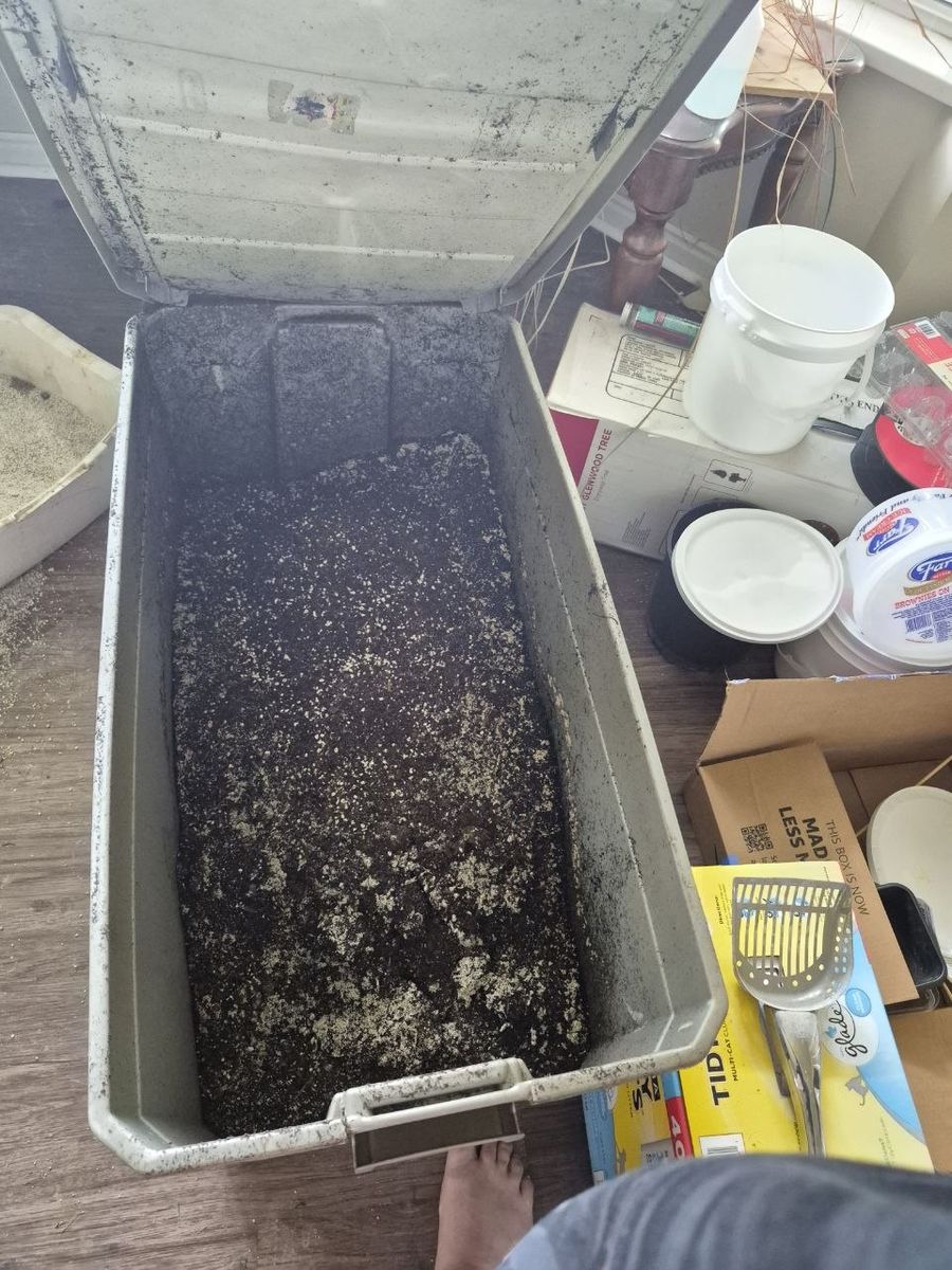 Garden soil AKA dirt (Dirt only, not the tub)