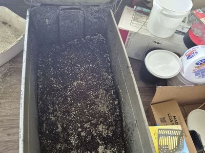 Garden soil AKA dirt (Dirt only, not the tub)