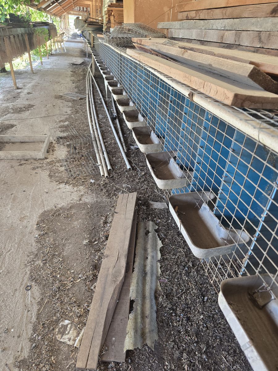 FREE Mink Pens - Must Take All