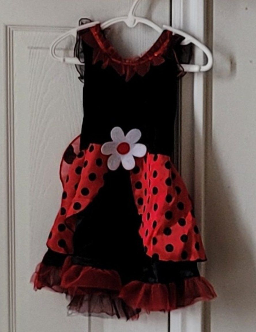 Mom + Daughter Halloween Lady Bug Costumes