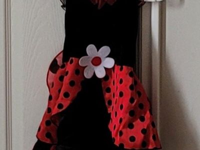 Mom + Daughter Halloween Lady Bug Costumes