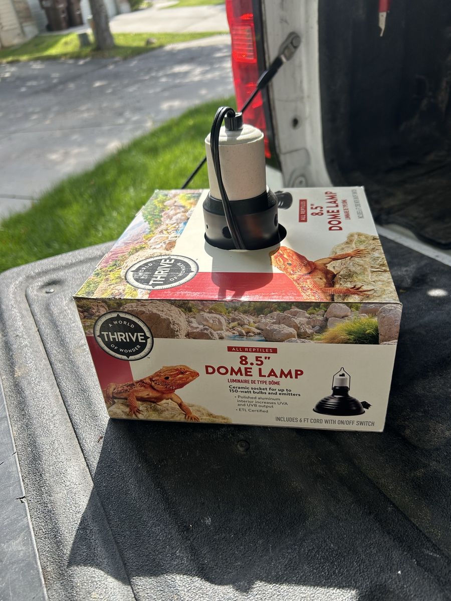 Reptile lamps 