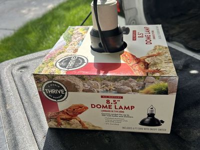 Reptile lamps
