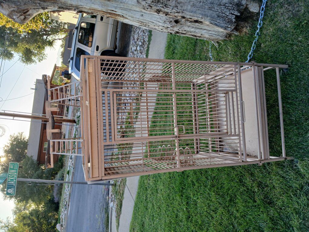 Bird Cage