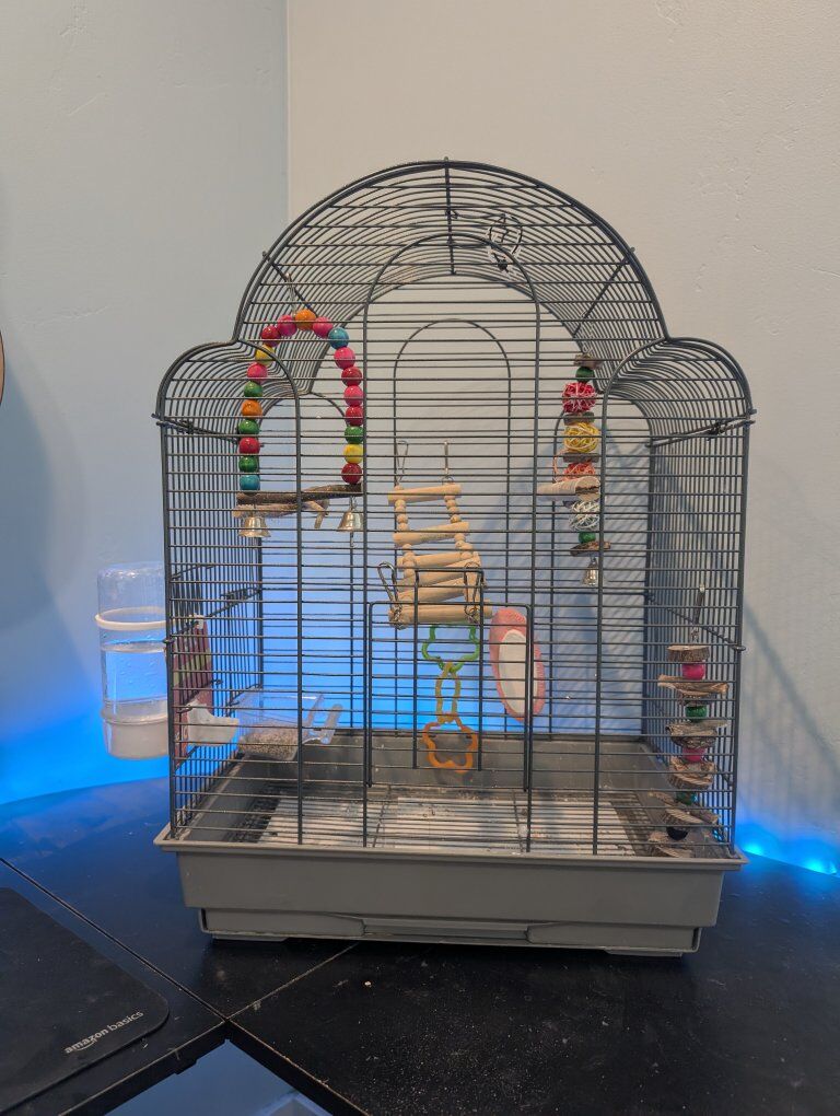 Parakeet cage.