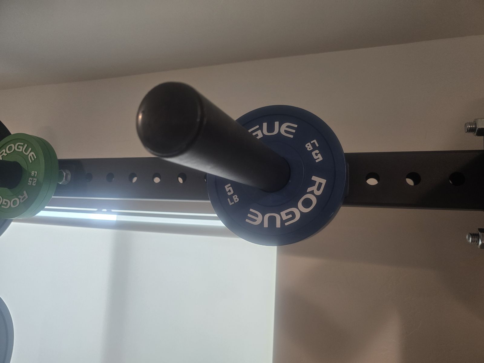 Rogue change plates (2.5lb and 5lb)