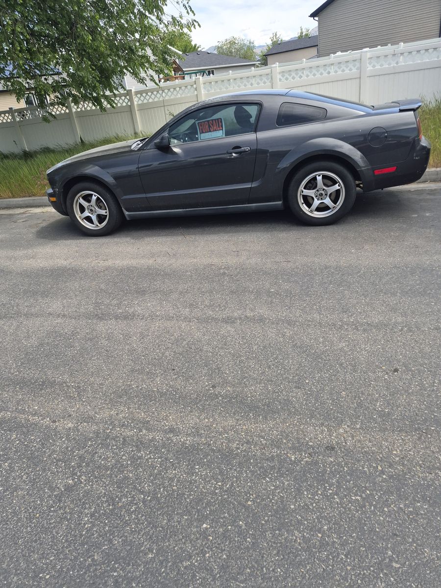 2007 ford mustang