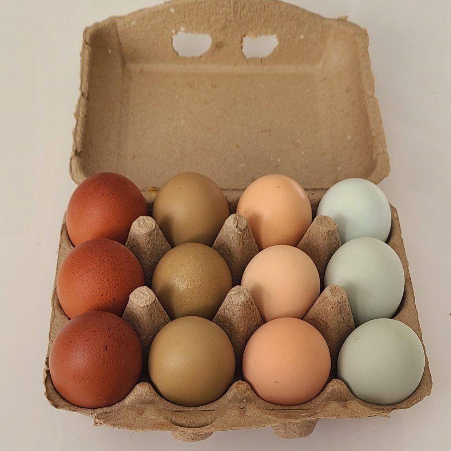 Farm Fresh Eggs