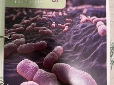 a photographic atlas for the microbiology laboratory 5th edition leboffe pierce