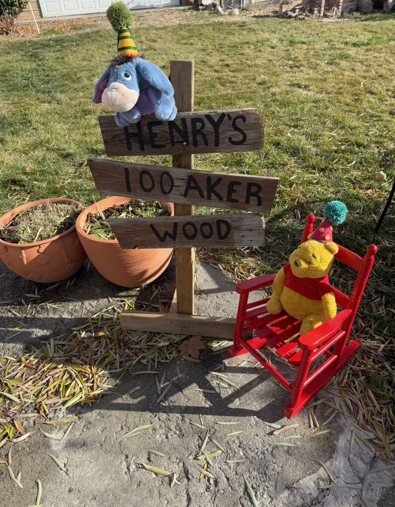 Winnie The Pooh 1st Birthday Decor Eeyore Sign