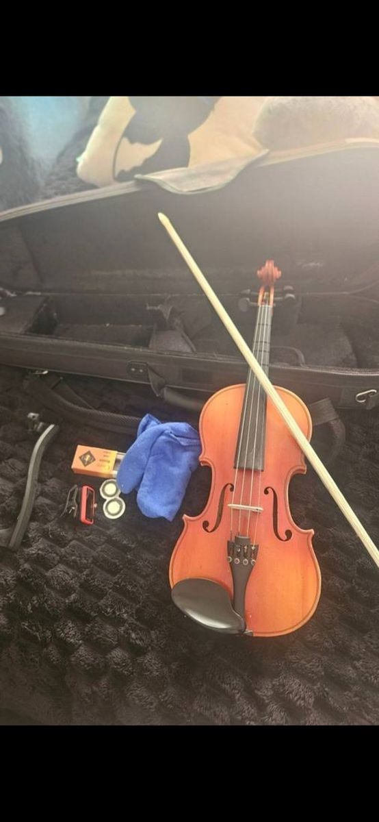Violin