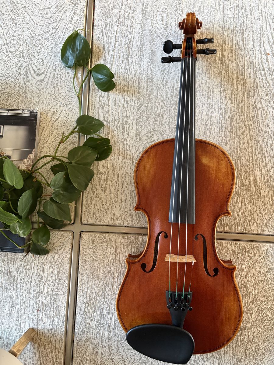 Stephano Laricci Violin