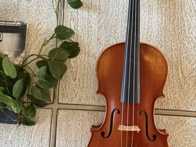 Stephano Laricci Violin