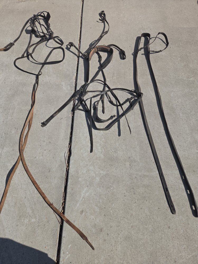 harness and cart