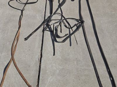 harness and cart