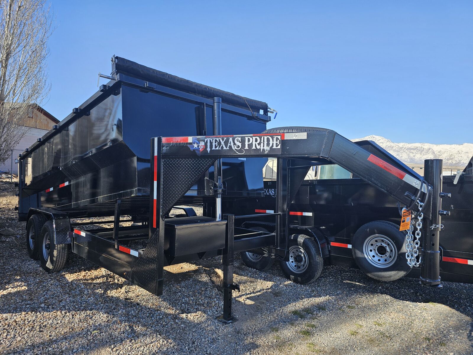 MUST MAKE ROOM!!!!!!!!!!!!  TEXAS PRIDE