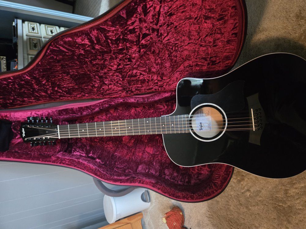 Taylor 250 ce BLK plus