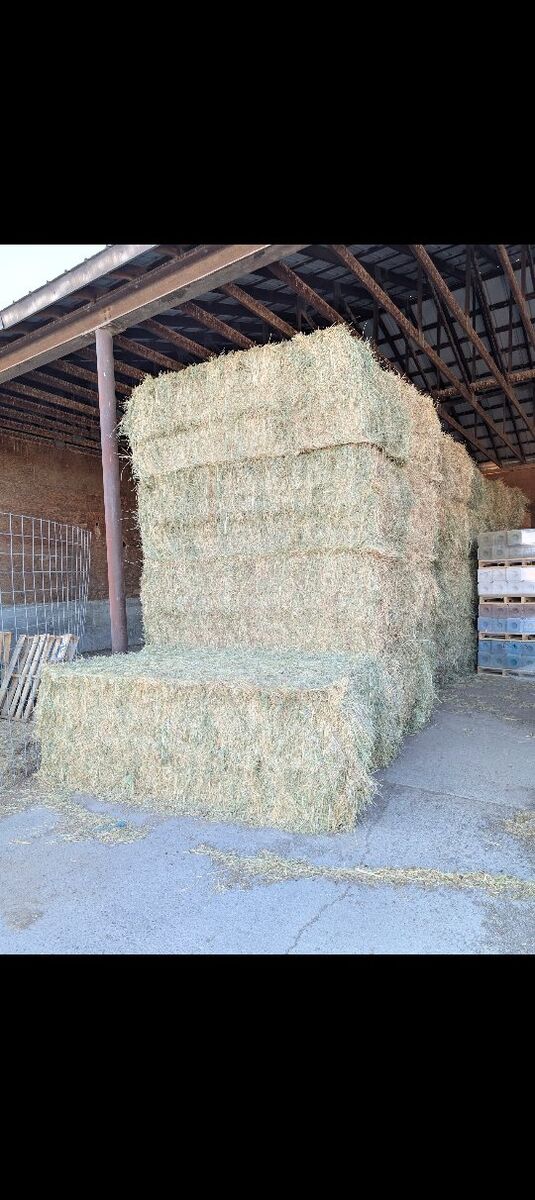 Alfalfa/ Grass / Horse hay