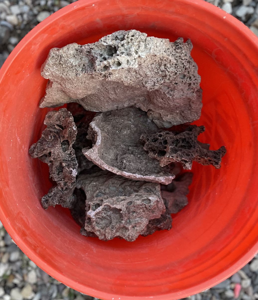 Bucket Of Lava Rocks For Terrarium