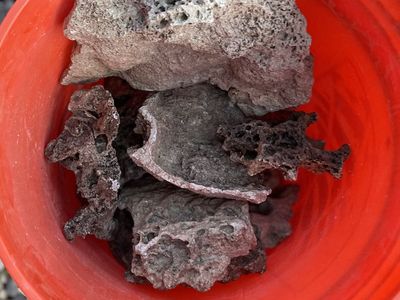 Bucket Of Lava Rocks For Terrarium