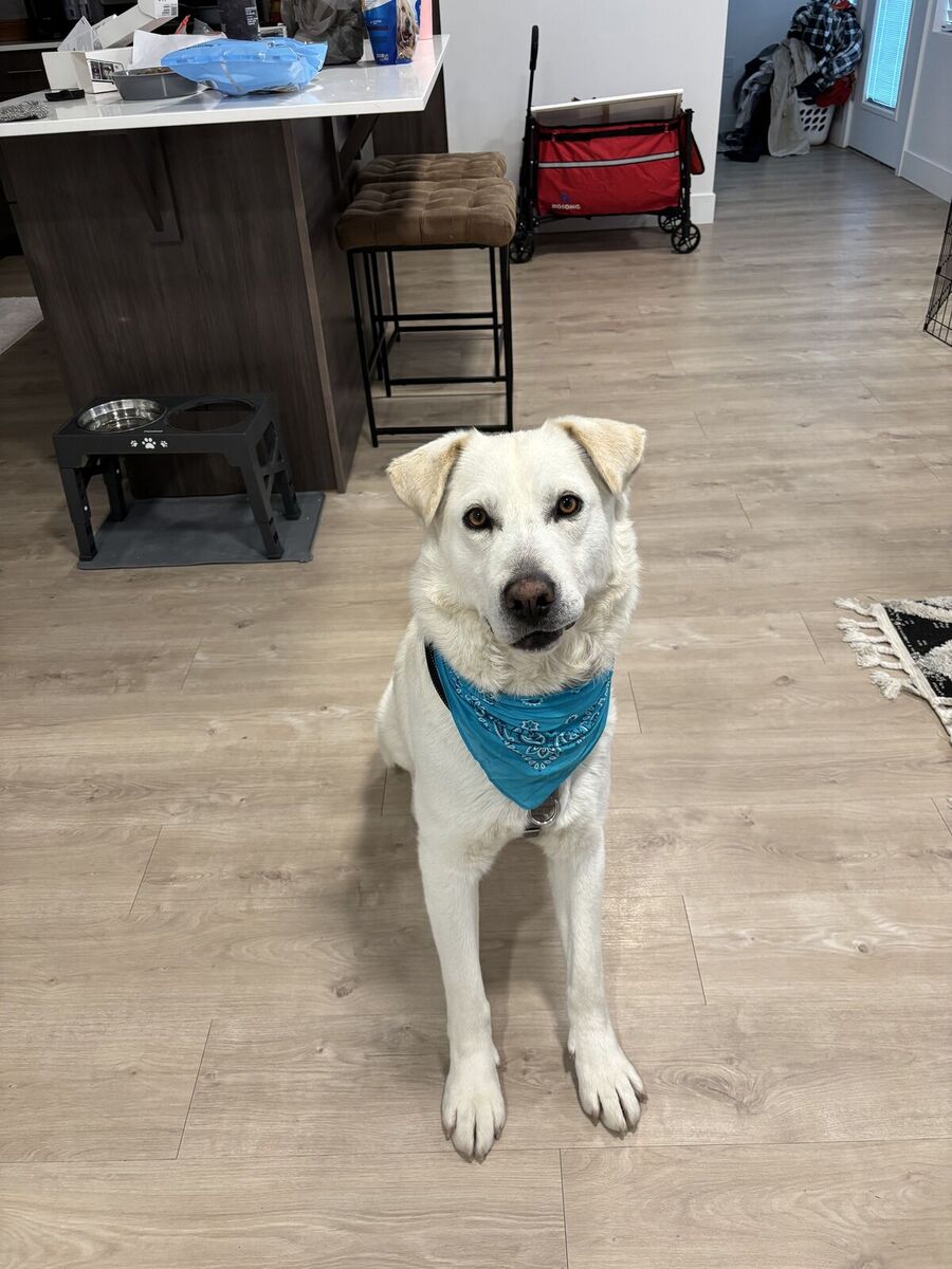 Hello my name is Chai