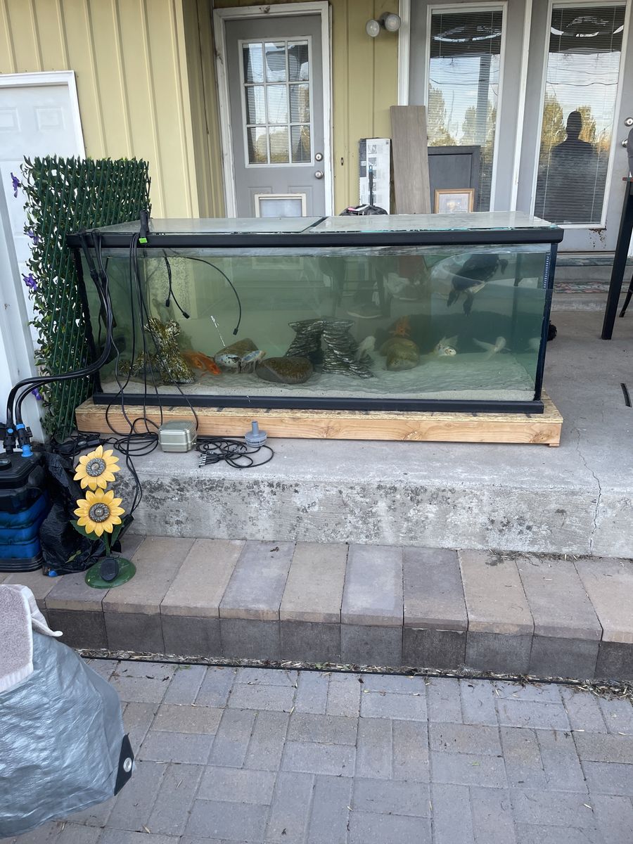 300 gallon fish tank aquarium stand and hood