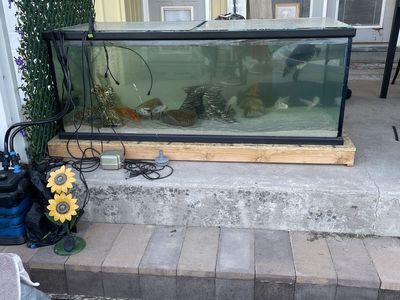 300 gallon fish tank aquarium stand and hood