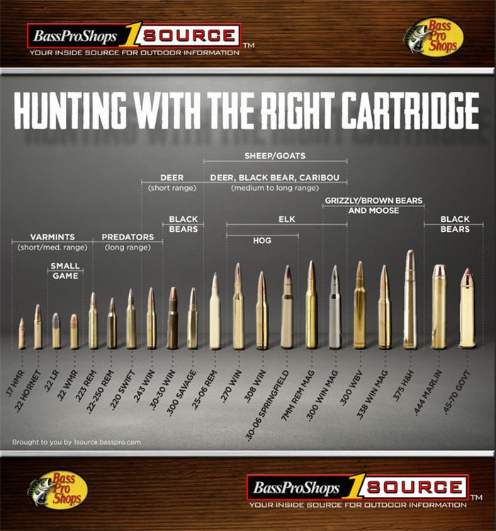 Looking for unwanted ammo or hunting gear