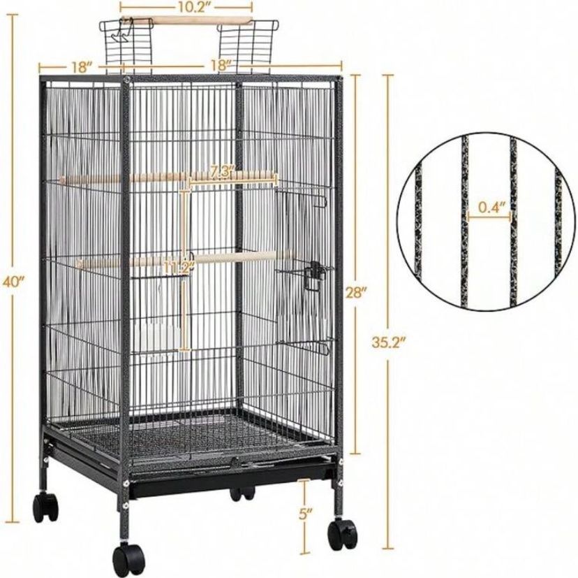 Bird Cage