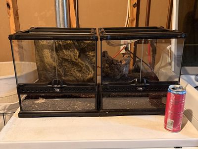 12X12x10 Exoterra Enclosures