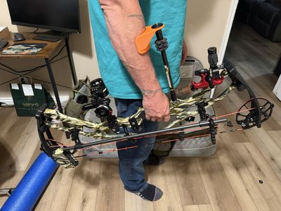 Stabilizer arm brace