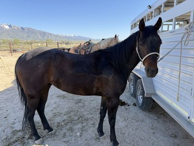 4 Year old ready to go work!