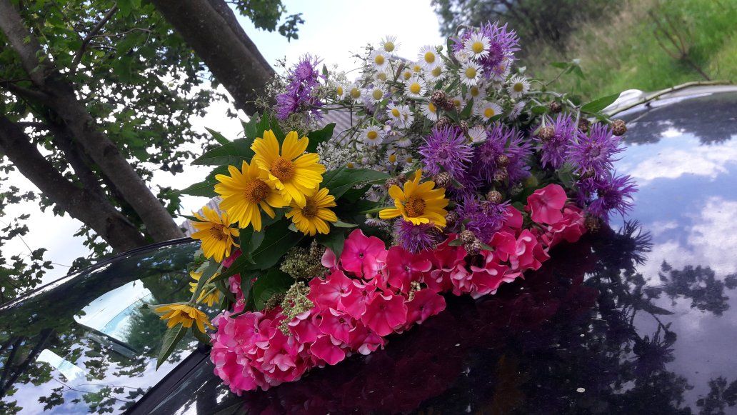 Freshly Picked Assorted Wildflower Bouquet - Vibrant Mix of Yellow, Purple, Pink, & White Flowers